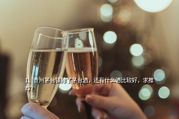 1、貴州茅臺鎮(zhèn)除了茅臺酒，還有什么酒比較好，求推薦？