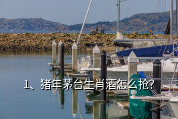 1、豬年茅臺生肖酒怎么搶？