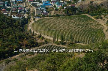 1、向股東分紅242.35億，茅臺股東大會釋放哪些信號？