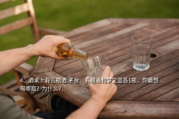 4、酒桌上有三瓶酒:茅臺(tái)、五糧液和夢(mèng)之藍(lán)各1瓶，你最想喝哪瓶？為什么？