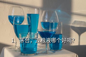 1、茅臺，五糧液哪個好喝？