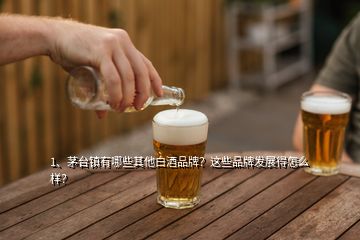 1、茅臺(tái)鎮(zhèn)有哪些其他白酒品牌？這些品牌發(fā)展得怎么樣？