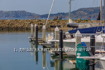 1、為什么叫飛天茅臺(tái)？飛天和五星的區(qū)別是什么？