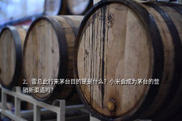 2、雷總此行來茅臺目的是是什么？小米會成為茅臺的營銷新渠道嗎？