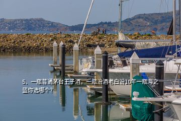 5、一瓶普通茅臺王子酒，一瓶汾酒老白汾10年一瓶海之藍你選哪個？