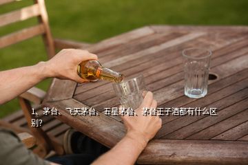 1、茅臺(tái)、飛天茅臺(tái)、五星茅臺(tái)、茅臺(tái)王子酒都有什么區(qū)別？