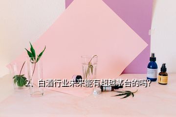 2、白酒行業(yè)未來(lái)能有超越茅臺(tái)的嗎？