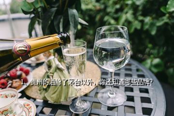 1、貴州的酒除了茅臺以外，你還知道哪些品牌？