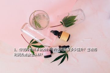 1、你覺(jué)得貴州茅臺(tái)2019年的業(yè)績(jī)能有多少提升？營(yíng)收和利潤(rùn)方面會(huì)怎么樣？