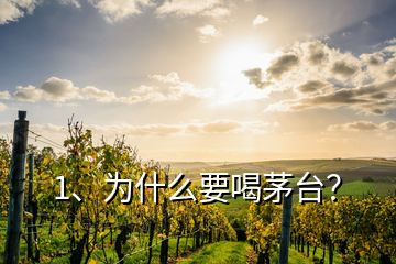 1、為什么要喝茅臺？