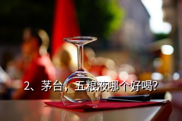 2、茅臺(tái)，五糧液哪個(gè)好喝？