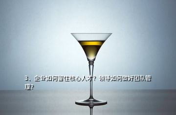 3、企業(yè)如何留住核心人才？領(lǐng)導(dǎo)如何做好團(tuán)隊(duì)管理？