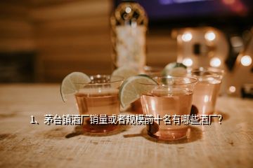 1、茅臺(tái)鎮(zhèn)酒廠銷量或者規(guī)模前十名有哪些酒廠？