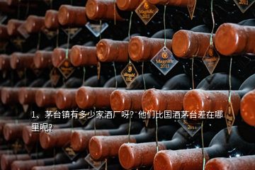 1、茅臺鎮(zhèn)有多少家酒廠呀？他們比國酒茅臺差在哪里呢？