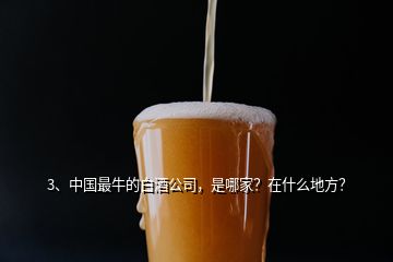 3、中國最牛的白酒公司，是哪家？在什么地方？