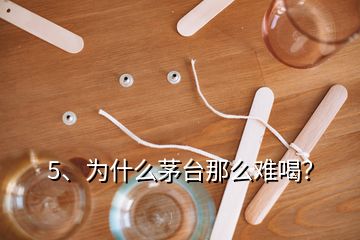 5、為什么茅臺(tái)那么難喝？