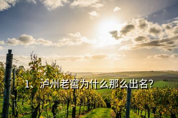 1、瀘州老窖為什么那么出名？