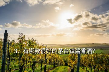 3、有哪款很好的茅臺鎮(zhèn)醬香酒？