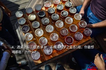 4、酒桌上有三瓶酒:茅臺(tái)、五糧液和夢(mèng)之藍(lán)各1瓶，你最想喝哪瓶？為什么？