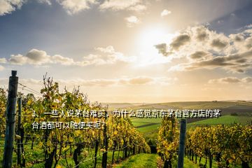 3、一些人說茅臺(tái)難買，為什么感覺京東茅臺(tái)官方店的茅臺(tái)酒都可以隨便買呢？