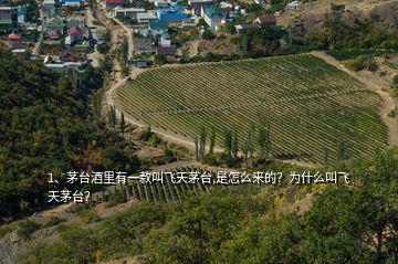 1、茅臺酒里有一款叫飛天茅臺,是怎么來的？為什么叫飛天茅臺？