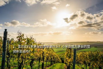 1、雷總此行來(lái)茅臺(tái)目的是是什么？小米會(huì)成為茅臺(tái)的營(yíng)銷新渠道嗎？