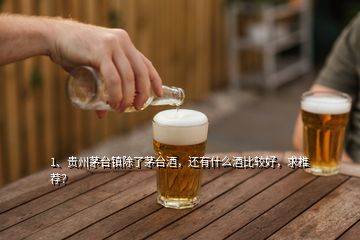 1、貴州茅臺鎮(zhèn)除了茅臺酒，還有什么酒比較好，求推薦？