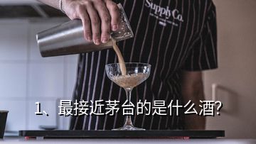 1、最接近茅臺的是什么酒？