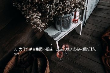 3、為什么茅臺集團不組建一支進入CBA或者中超的球隊呢？