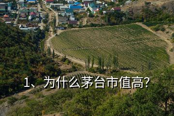 1、為什么茅臺市值高？