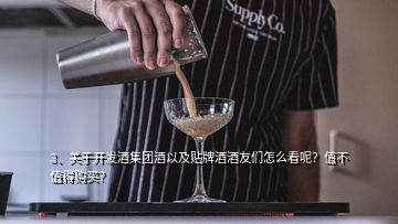 3、關(guān)于開發(fā)酒集團(tuán)酒以及貼牌酒酒友們?cè)趺纯茨?？值不值得?gòu)買？