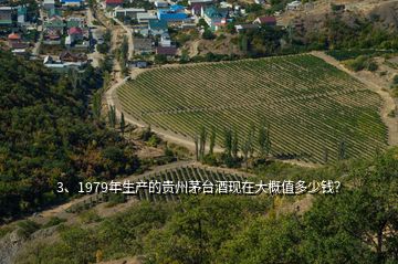 3、1979年生產(chǎn)的貴州茅臺酒現(xiàn)在大概值多少錢？