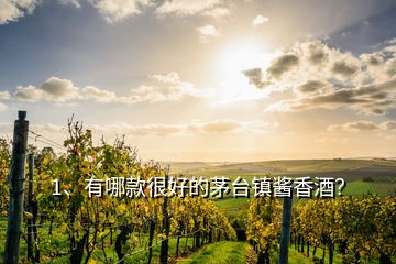 1、有哪款很好的茅臺(tái)鎮(zhèn)醬香酒？