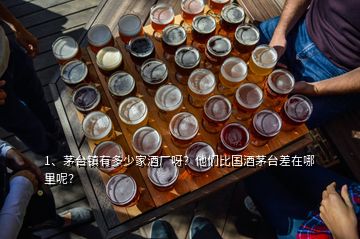 1、茅臺鎮(zhèn)有多少家酒廠呀？他們比國酒茅臺差在哪里呢？