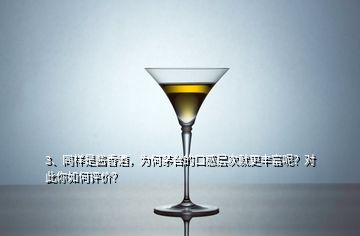 3、同樣是醬香酒，為何茅臺(tái)的口感層次就更豐富呢？對(duì)此你如何評(píng)價(jià)？