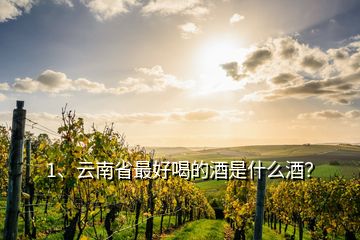 1、云南省最好喝的酒是什么酒？