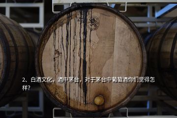 2、白酒文化，酒中茅臺，對于茅臺中葡萄酒你們覺得怎樣？