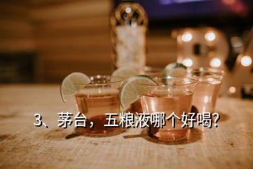 3、茅臺(tái)，五糧液哪個(gè)好喝？