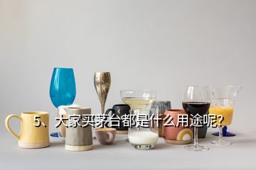 5、大家買茅臺都是什么用途呢？