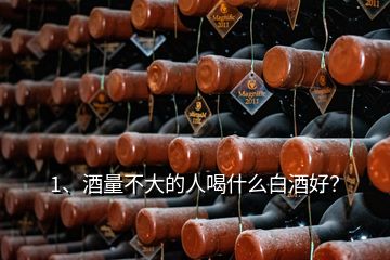 1、酒量不大的人喝什么白酒好？