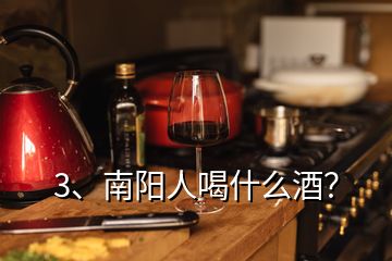 3、南陽人喝什么酒？