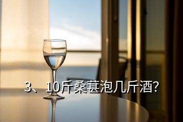 3、10斤桑葚泡幾斤酒？