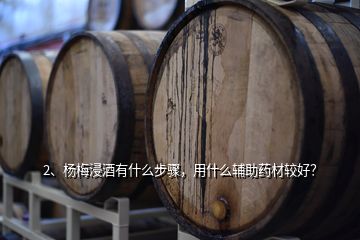 2、楊梅浸酒有什么步驟，用什么輔助藥材較好？