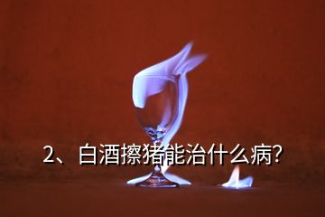 2、白酒擦豬能治什么病？