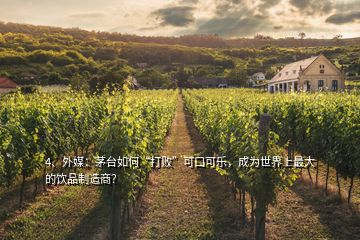 4、外媒：茅臺如何“打敗”可口可樂，成為世界上最大的飲品制造商？