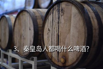 3、秦皇島人都喝什么啤酒？