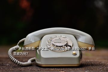 3、茅臺酒新款“茅之藍(lán)”剛出為何單價漲到5000？茅臺意欲為何？