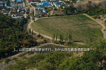 1、以前國(guó)家仿制茅臺(tái)不行，為什么現(xiàn)在醬香酒那么多？