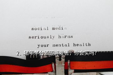 2、豬年茅臺酒即將發(fā)售，你會買嗎？