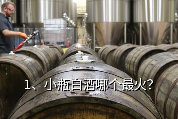 1、小瓶白酒哪個(gè)最火？